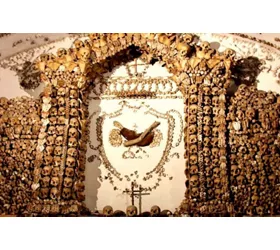 Cripta de los capuchinos: Tour guiado