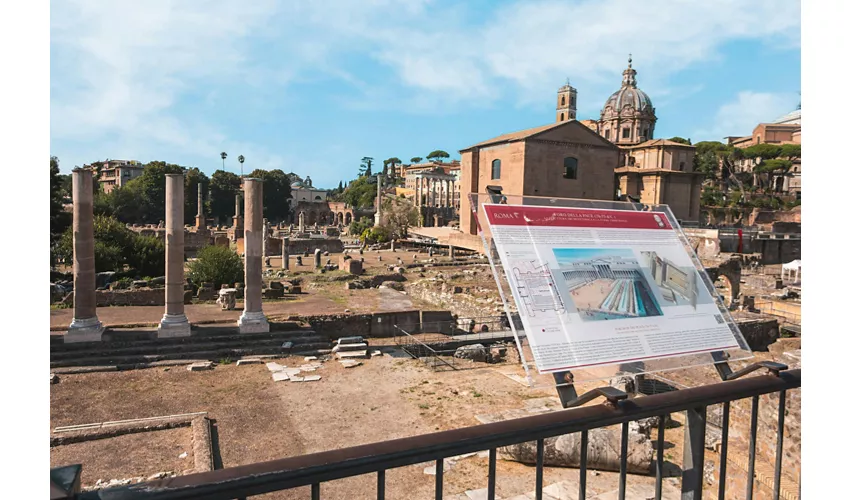 Tour guidato del Colosseo, Foro Romano e Palatino
