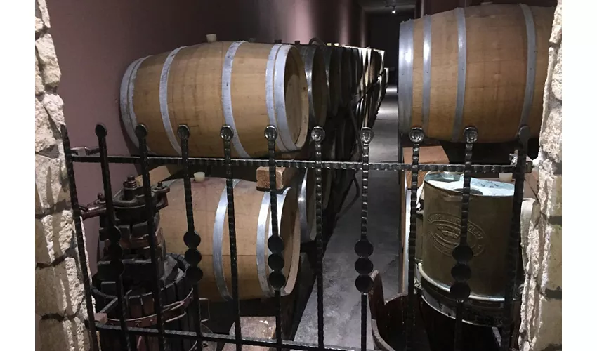 Cantina Fratelli Vogadori: Valpolicella-Weinverkostung