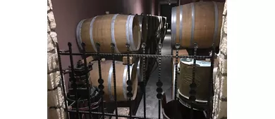 Cantina Fratelli Vogadori: Valpolicella-Weinverkostung