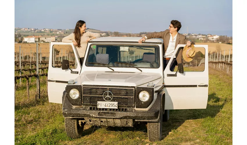 Safari Grand Tour und Verkostung