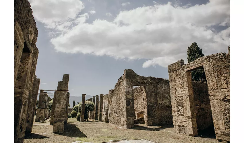 Pompeya: Entrada + Comida y Cata de Vinos en el Vesubio + Viaje de ida y vuelta desde Roma