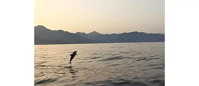 Taormina: Delfin Tour bei Sonnenuntergang + Aperitif