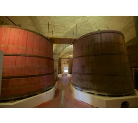 Historische Kellertour und Verkostung in den Abruzzen
