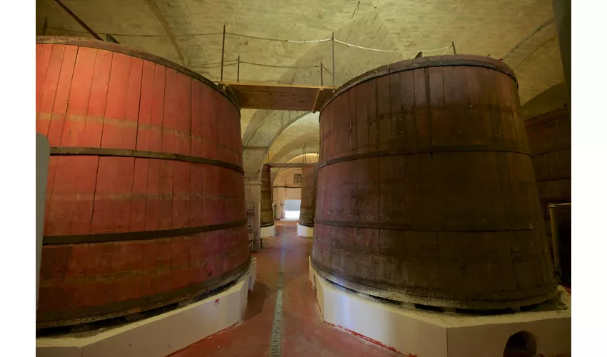 Abruzzo Historical Cellar Tour e Degustação