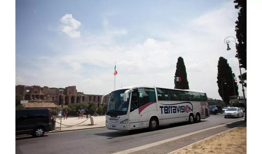 Aeropuerto de Ciampino: Traslado en autobús de ida a/desde Roma Termini