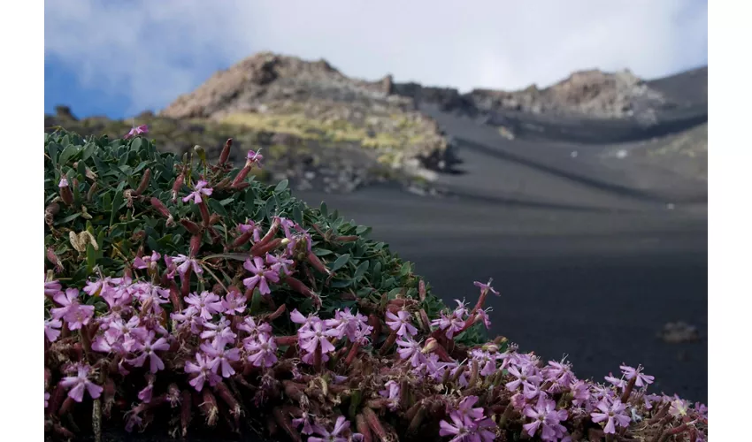 Excursión al Etna por la mañana o al atardecer y visita a la cueva de lava