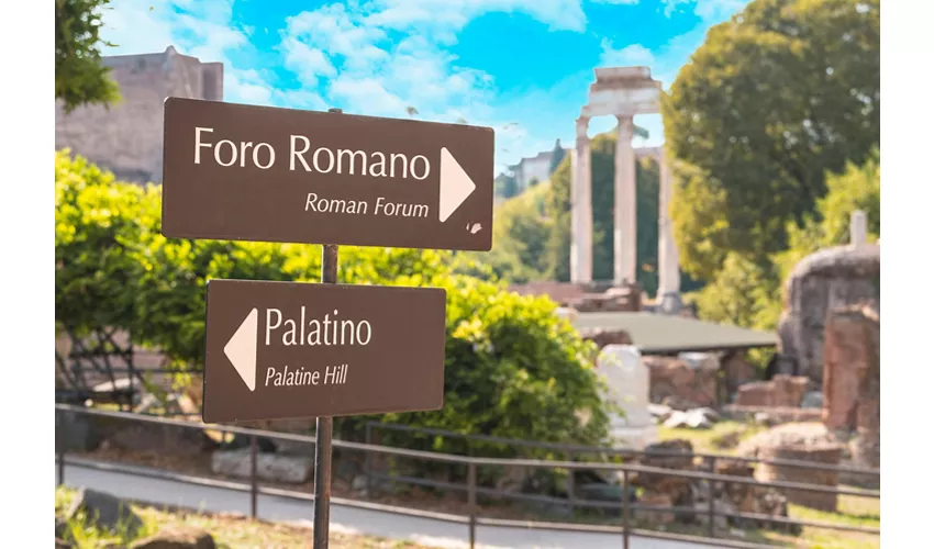 Coliseo, Arena y Foro Romano + Visita guiada