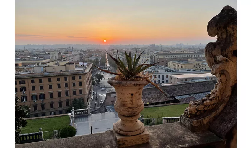 Vatican Museums & St. Peter's Basilica: Early Access + Guided Tour