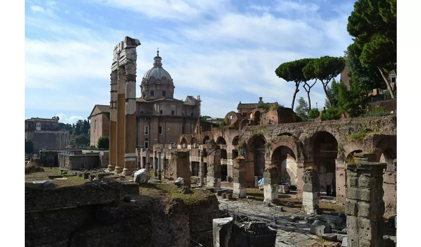 Colosseum, Roman Forum & Palatine Hill + Digital Audio Guide App