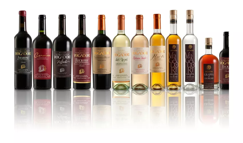 Cantina Fratelli Vogadori: Valpolicella Wine Tasting Experience