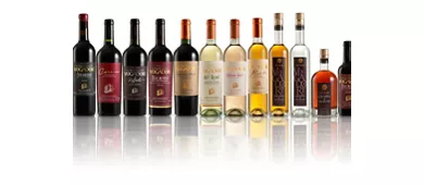 Cantina Fratelli Vogadori: Valpolicella Wine Tasting Experience
