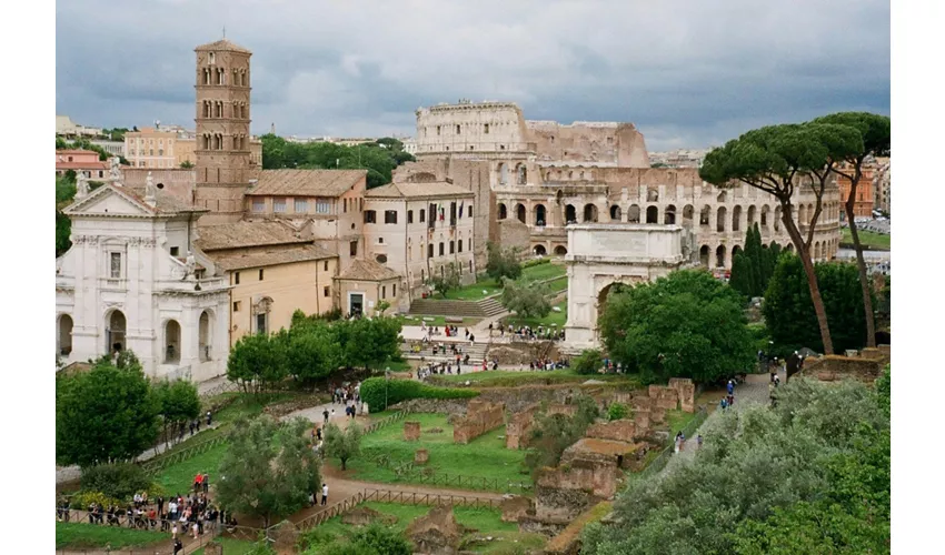 Colosseo, Foro Romano e Palatino + Tour guidato