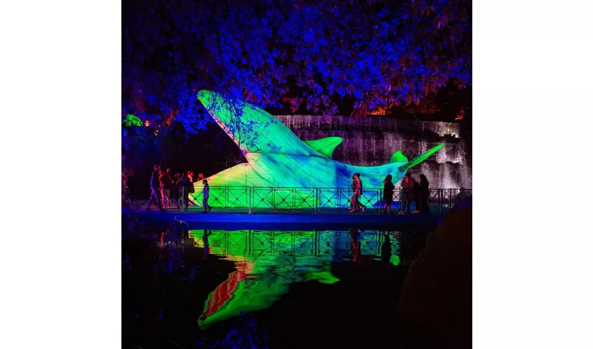 This is Wonderland - Pinocchio - Back To Wood: Entrada