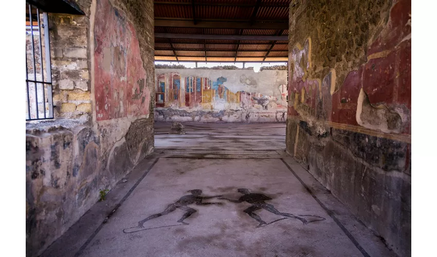 Pompeii & Mount Vesuvius: Day Trip from Rome + Lunch