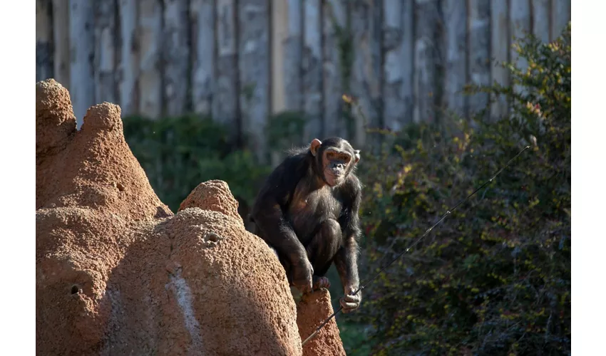 Parque Natura Viva: Entrada con fecha abierta