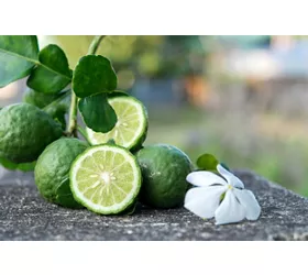 Bergamotto di Calabria: dalla tavola ai profumi