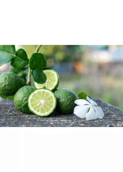 Bergamotto di Calabria: dalla tavola ai profumi