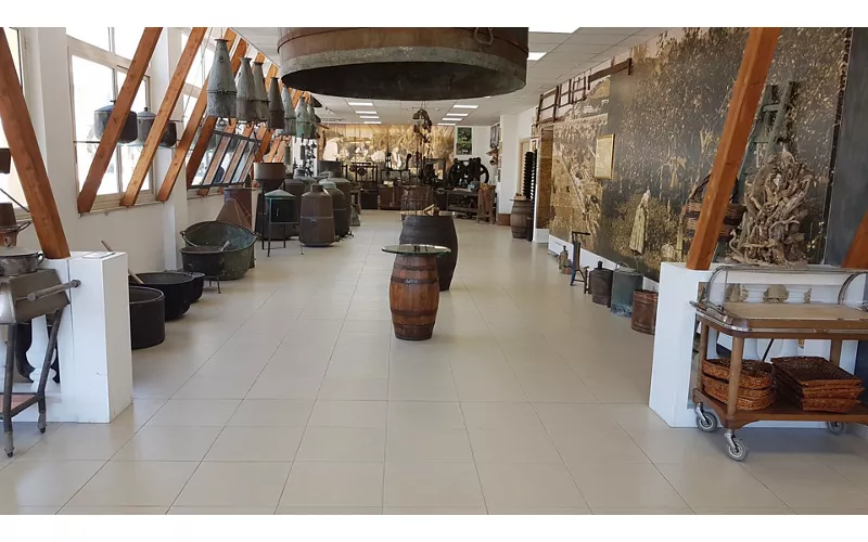 Nella città del bergamotto