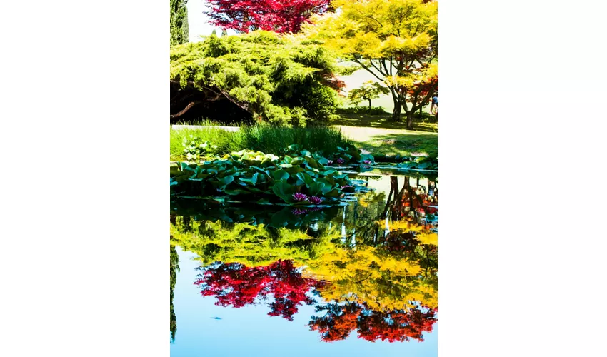 Parco Giardino Sigurtà: Billete de fecha abierta
