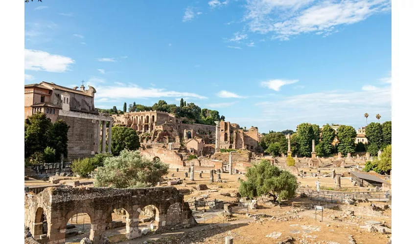Vatican Museums & Colosseum: Guided Tour