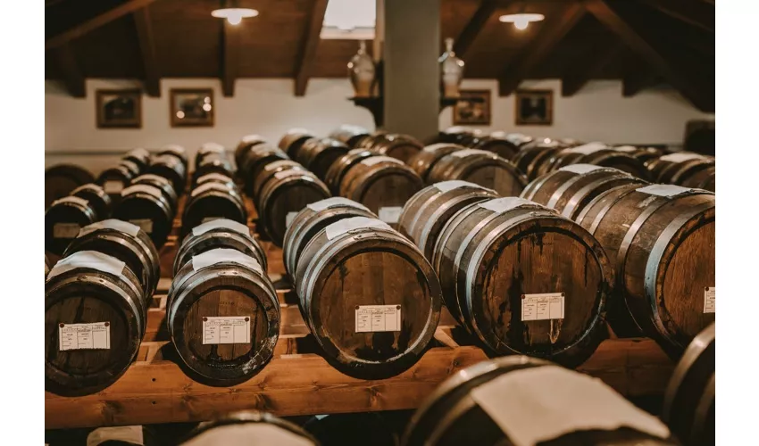 Módena: Visita guiada + Degustación de Vinagre Balsámico