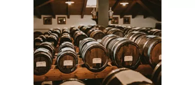 Módena: Visita guiada + Degustación de Vinagre Balsámico