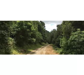 img per  VS - Sulle Orme di San Bernardo - Martorana Bivona 