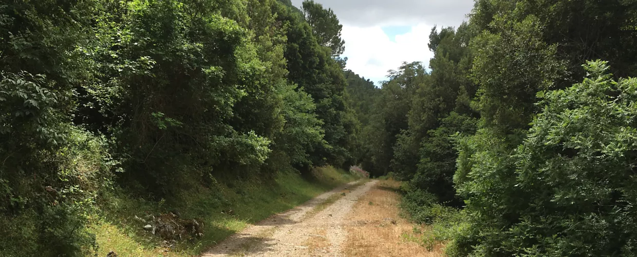 img per  VS - Sulle Orme di San Bernardo - Martorana Bivona 
