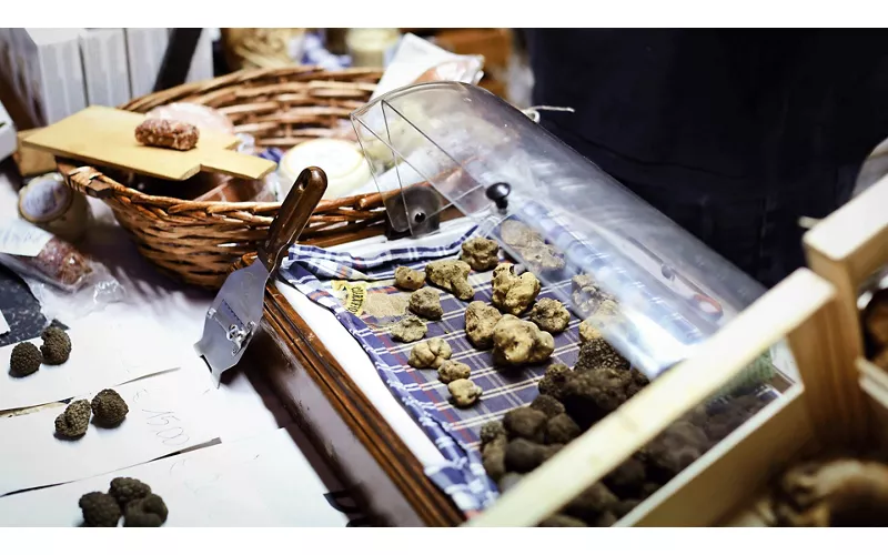 Truffle festivals in the Marche