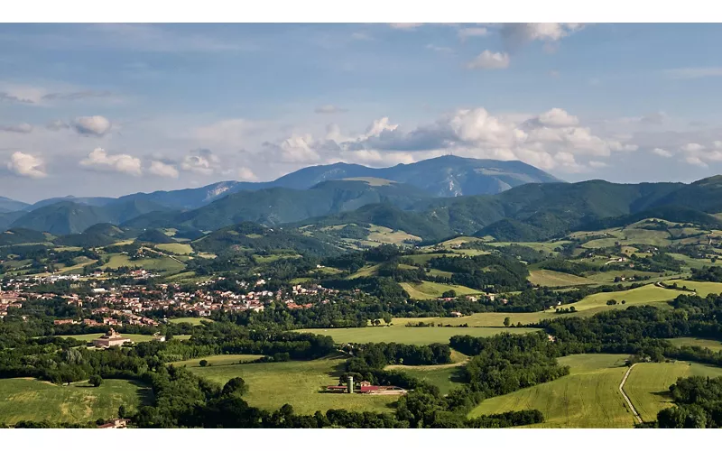 Types of truffles and where they are found in the Marche