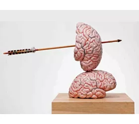 Brain thinking models and drawings Jane Fabre