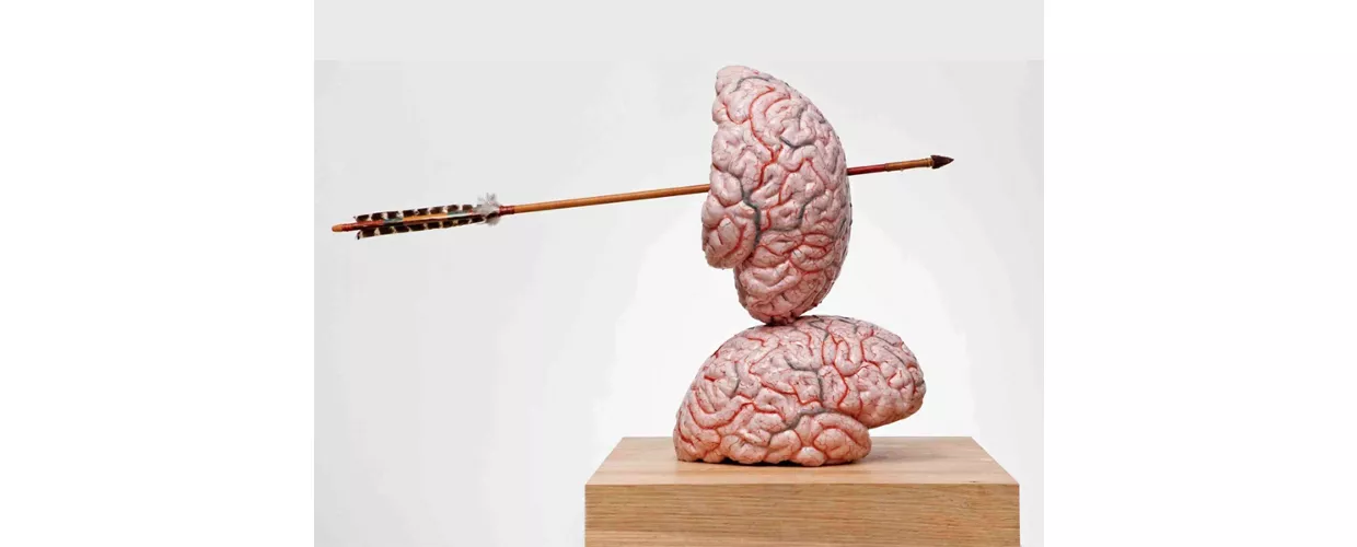 Brain thinking models and drawings Jane Fabre