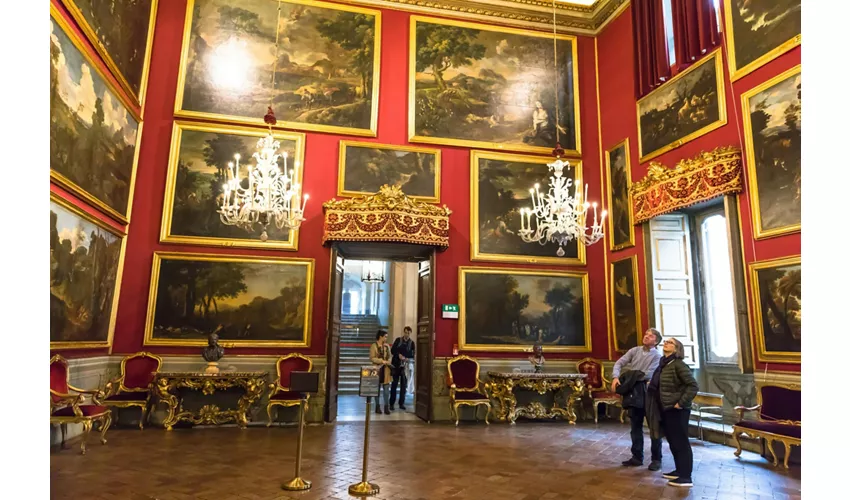 Palazzo Patrizi Montoro e Galleria Doria Pamphilj: Biglietti d'ingresso riservati