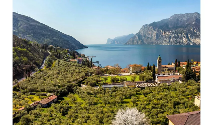 Torri del Benaco: autobus + treno del Garda Link da Venezia