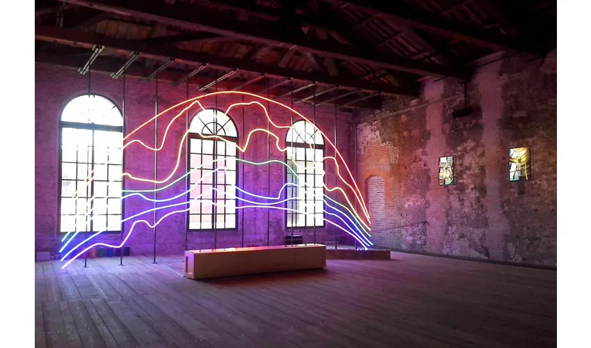 Biennale Di Venezia: 60th International Art Exhibition + Venice City Audio Guide