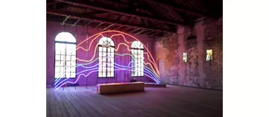 Biennale Di Venezia: 60th International Art Exhibition + Venice City Audio Guide