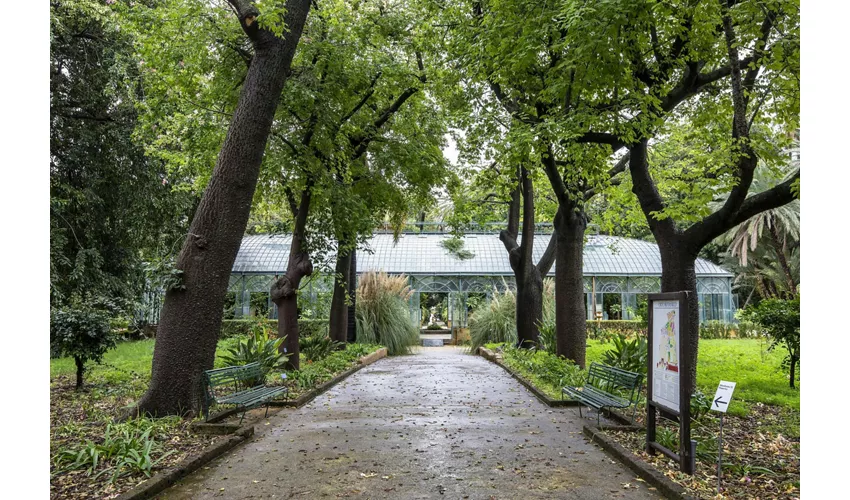 Jardín Botánico de Palermo: Entrada