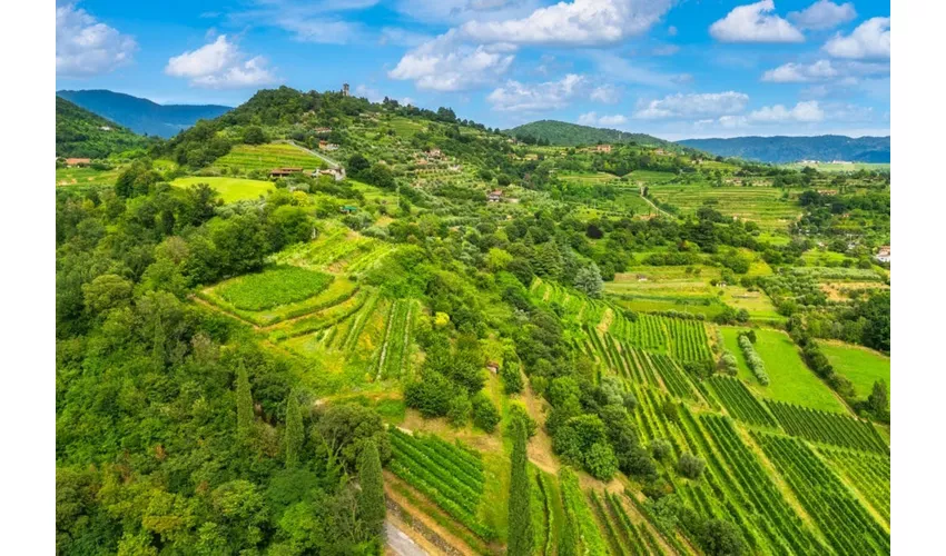 Lago d'Iseo e Franciacorta: tour guidato da Milano + degustazione di vini