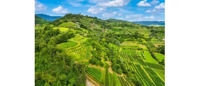 Lago d'Iseo e Franciacorta: tour guidato da Milano + degustazione di vini