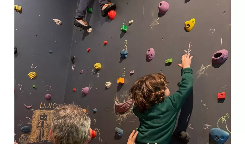 Museo MiniMupa: Biglietto salta-coda