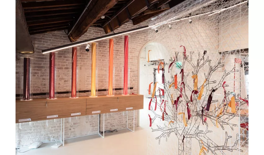 "A World of Potential" at the Human Safety Net House: Entry Ticket