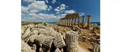 Entrance to Selinunte Archeological Park + Roundtrip Shuttle Service