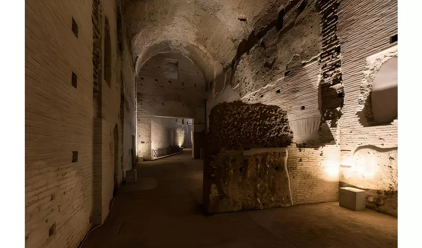 Domus Aurea: Entry Ticket + Guided Tour + VR Experience