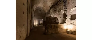 Domus Aurea: bilhete de entrada + tour guiado + experiência em RV