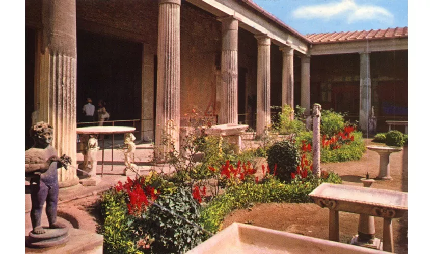 Pompei: Gita di un giorno da Roma + pranzo