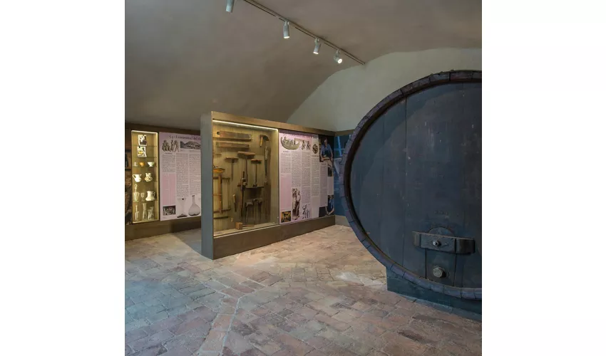 Museos gastronómicos: Museo del Vino