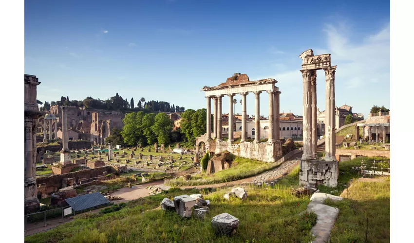 Tour guidato del Foro Romano + ingresso al Palatino e alla Domus romana