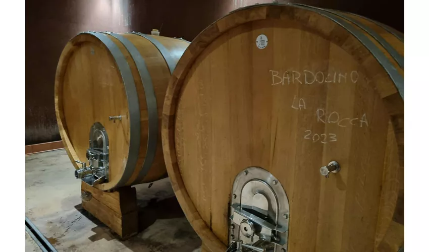 Lake Garda: Wine Tasting + Bardolino Vineyard Tour