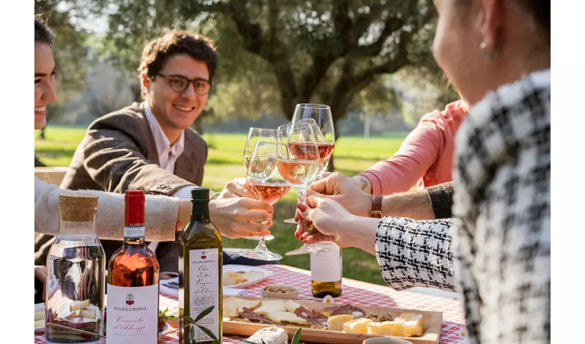 Weingut Mazzarosa: Ländliches Picknick im Olivenhain